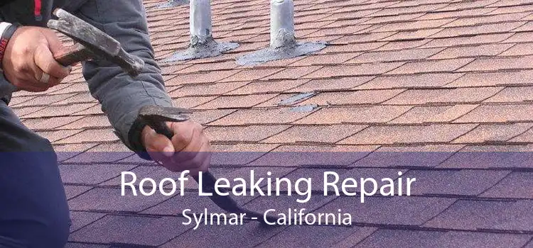 Roof Leaking Repair Sylmar - California