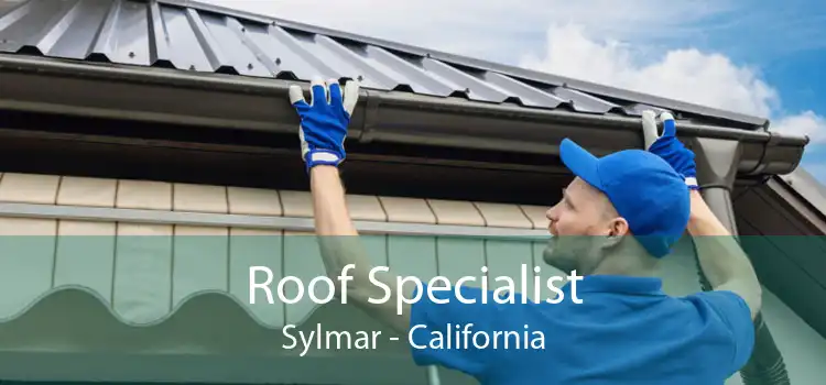 Roof Specialist Sylmar - California